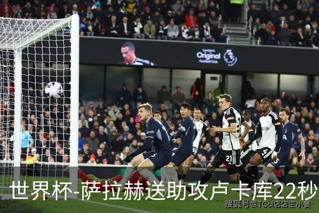世界杯-萨拉赫送助攻卢卡库22秒造乌龙 比利时1-1埃及