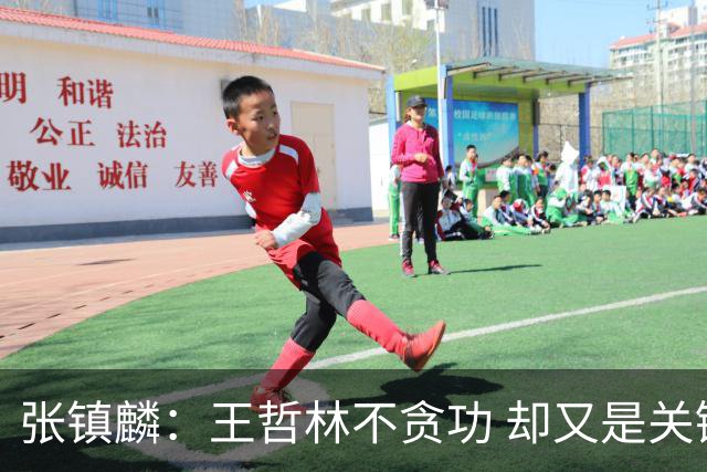 张镇麟：王哲林不贪功 却又是关键时刻能站出来的人 队长当之无愧