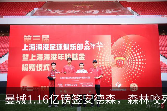 曼城1.16亿镑签安德森，森林咬死现金支付，创英球员转会纪录