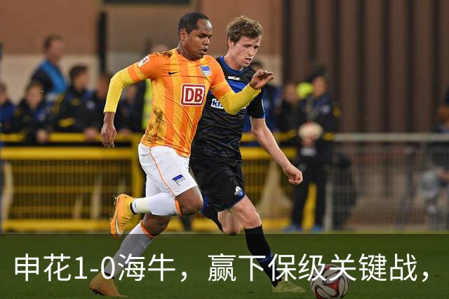 申花1-0海牛，赢下保级关键战，球员评分：1人完美，2人优秀，国脚不及格