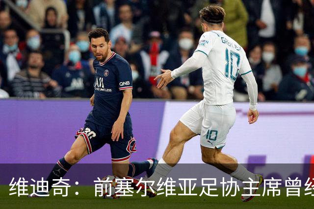 维迪奇：前塞尔维亚足协主席曾经招揽社会闲散人员跟踪我、袭击我