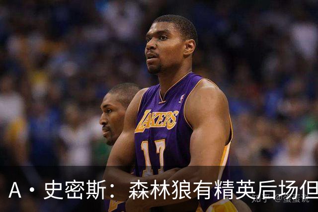 A·史密斯：森林狼有精英后场但体型变小 难应对雷霆马刺火箭掘金