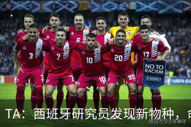 TA：西班牙研究员发现新物种，命名为“沃齐尼亚的海蛞蝓”